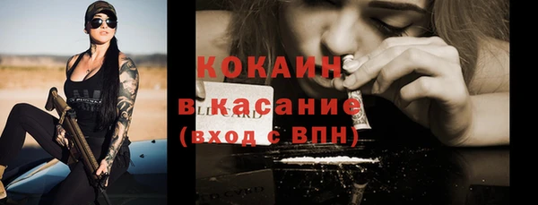 гидра Касимов