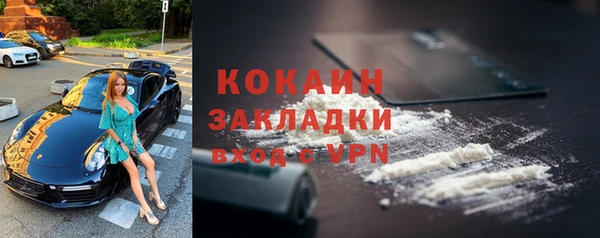 гидра Касимов