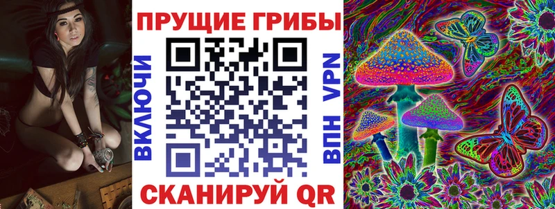 Псилоцибиновые грибы мухоморы  где найти наркотики  Киренск 