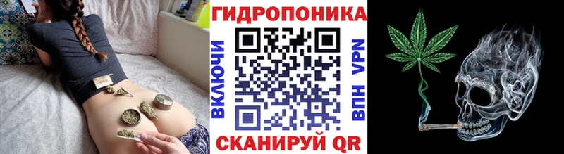 hydra рабочий сайт  Киренск  Бошки марихуана марихуана 